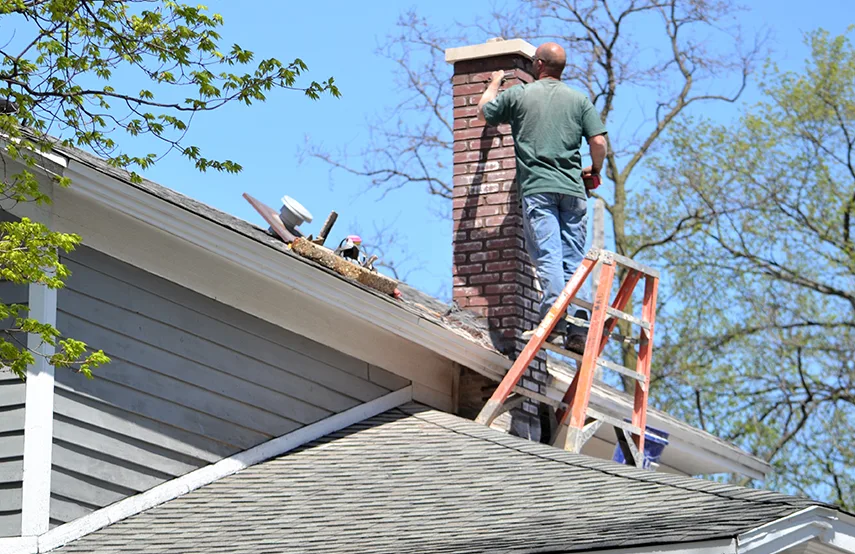 Chimney & Fireplace Inspections Services in Germantown, MD